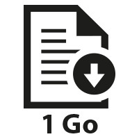 538699 | INSERT FICHIER