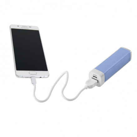 BATTERIE DE SECOURS 2600 MAH 'POWERFLASH'
