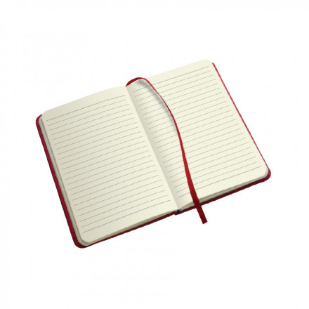 LOT DE 50 CARNETS A5 PUBLICITAIRES 'TOMASO' EXPEDITION EXPRESS 72H