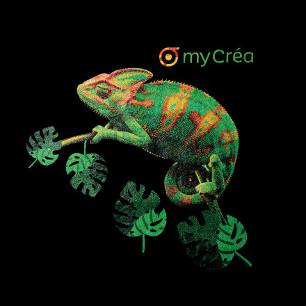 TEE SHIRT HOMME PERSONNALISABLE 'IMPERIAL FULL DIGITAL PRINT'