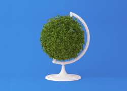 Jetez un minimum, réutilisez un maximum !