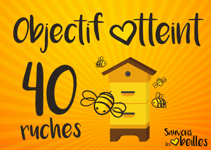 abeilles_40ruches